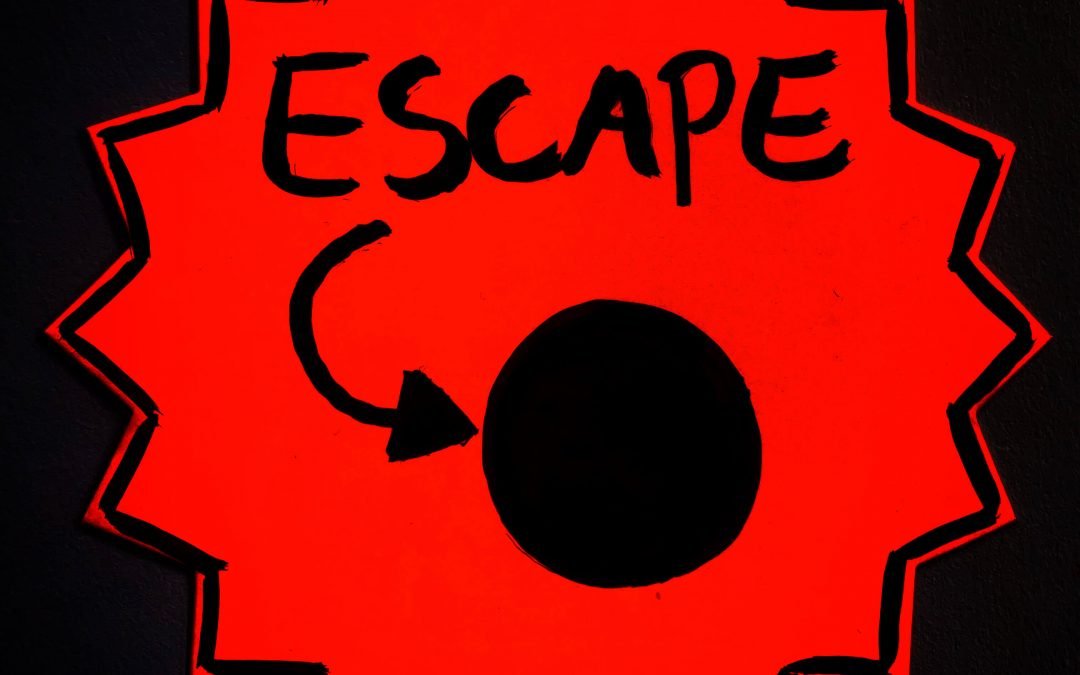 GS Artists: Abigail Fraser