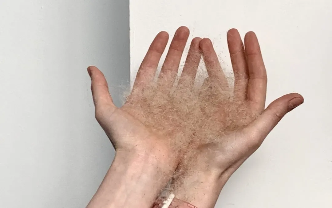 Anja Stenina interviews Tess Wood.