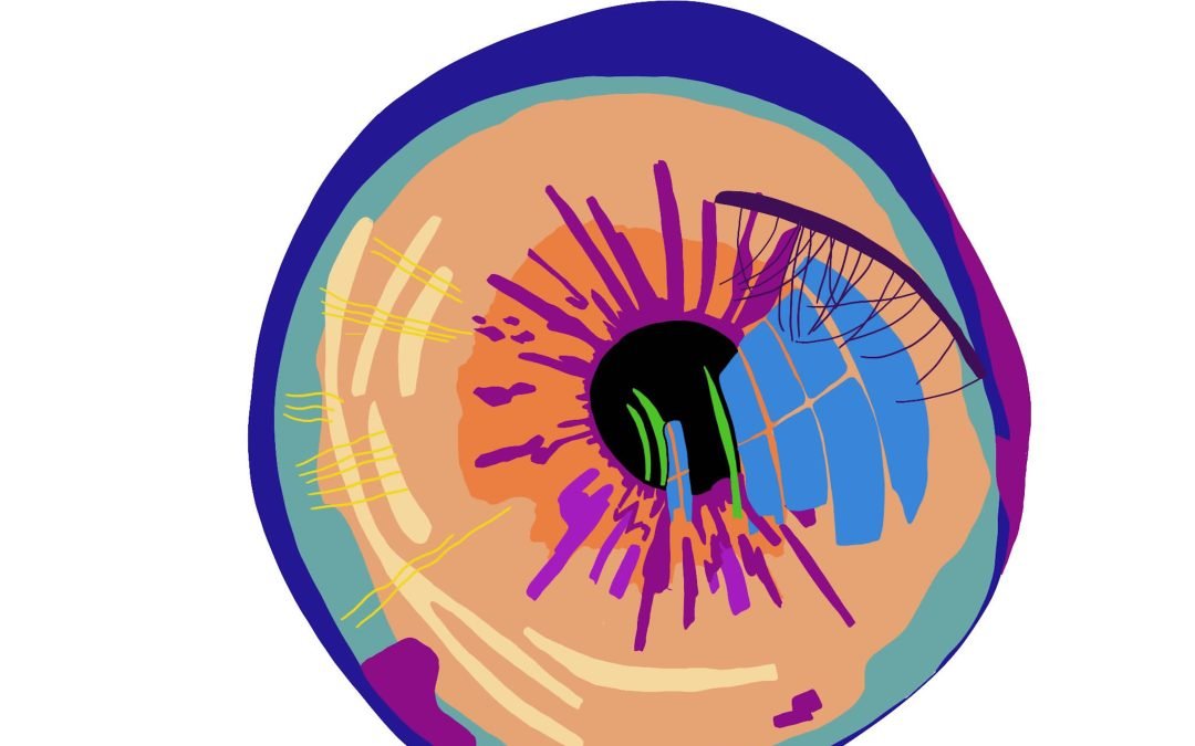 OUR VISUAL WORLD – leaflet